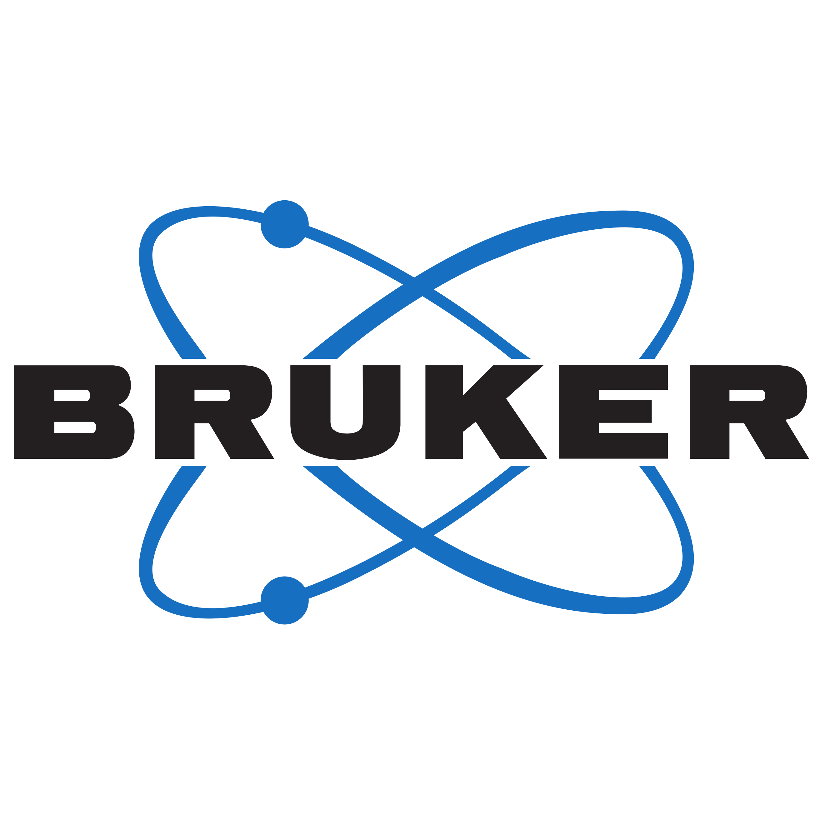 Bruker Logo